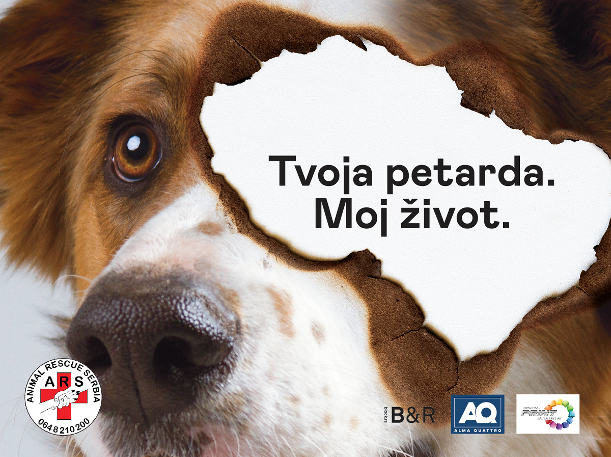 Animal Rescue Serbia: “Situacija je mnogo gora po ulične životinje, koje su u potpunosti izložene buci i opasnosti da budu povrijeđene“